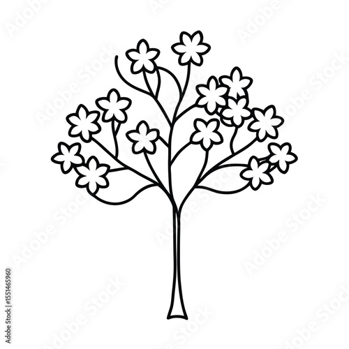 a flowering elder tree with umbrella shaped flower