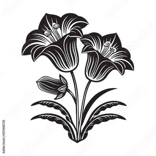  silhouette of single unique design flower of bell  on the white background        