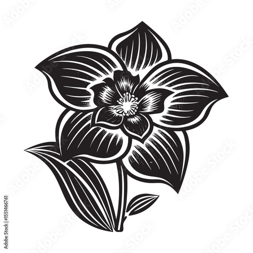  silhouette of single unique design flower of bell  on the white background        