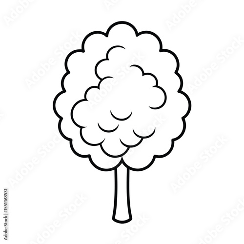 a lilac tree with fluffy cone shaped flower cluste