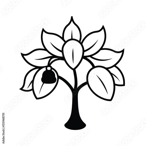 a mangosteen tree with bell shaped blossoms and th