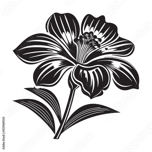 silhouette of single unique design flower of flat bot    on the white background       