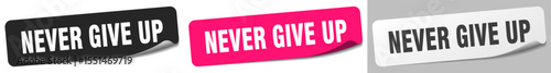 never give up sticker. never give up sticker set on white background