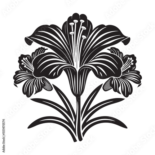  silhouette of single unique design flower of long Nar  on the white background       