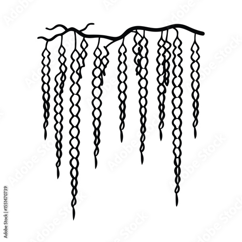a wisteria tree with long hanging floral strands a