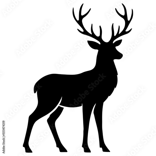 deer vector illustration