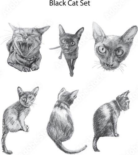 Sketch of a black kitten