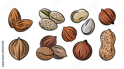 A Series of Ten Hand-Drawn Botanical Illustrations Nuts Collection