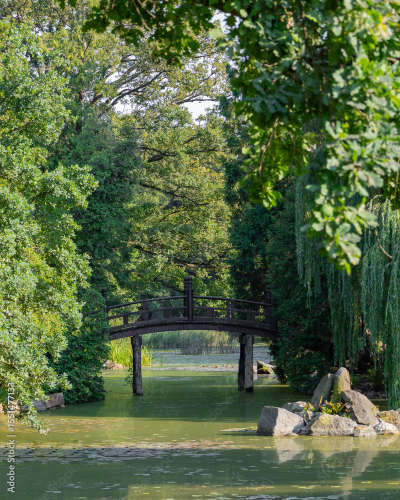 Obraz premium bridge over the lake in the park