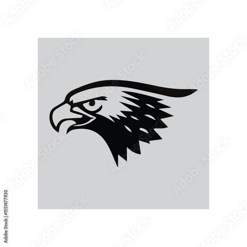 Powerful Wings of an Eagle in Action