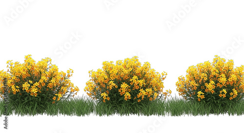 Yellow Flowers Bush Grass Border