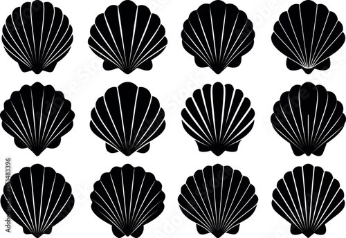 Collection of seashells isolated on white background showing a variety of shapes