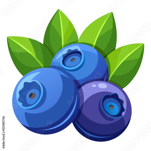 Simple European Blueberry or Bilberry Graphic