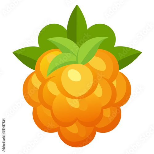 Modern Cloudberry Fruit Graphic in a Flat Vector Style