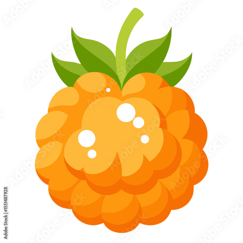 Clean Design Cloudberry Fruit Vector Isolated