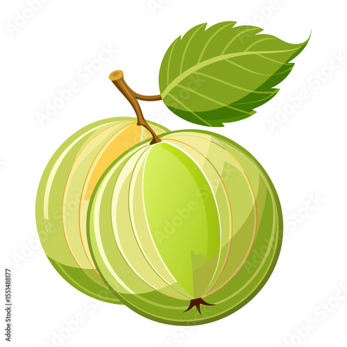 Simple Amla Fruit Illustration for Ayurvedic Concepts