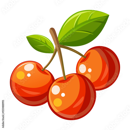 Simple Pitanga or Surinam Cherry Illustration