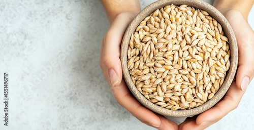 A bowl of raw barley grains held in hands over light background, healthy organic food concept, top view