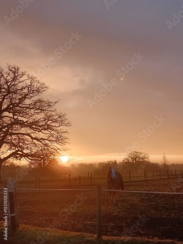 sunset in the country