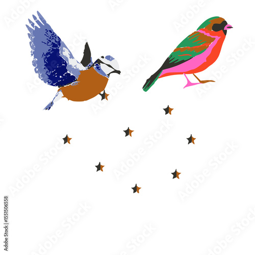 Flying birds above with star below nature and dream concept icon.