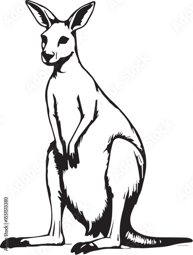 kangaroo vector illustration 100% fully editable vector file.
