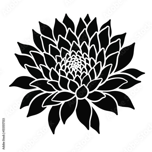 Black Silhouette Delphinium Flower Vector with Tall Stem and Layered Blossoms on White Background Full HD
