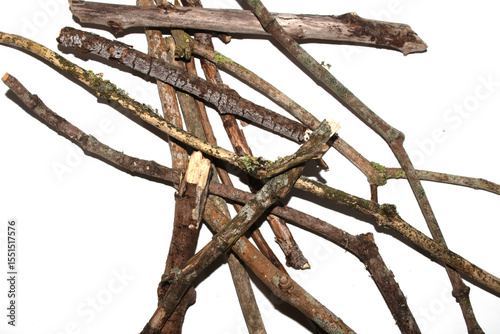 Small natural fallen tree twigs sticks and branches on a white background