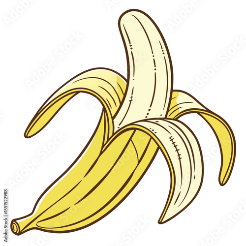 Peeled banana fruit tropical healthy food diet nutrition yellow snack organic graphic vector illustration
