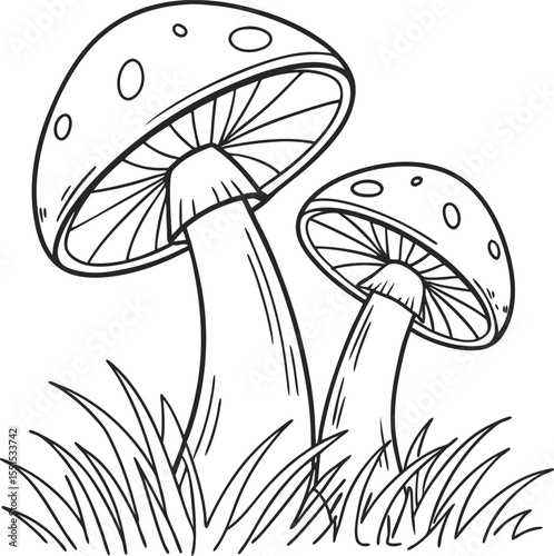 Mushroom Illustration in Black and White