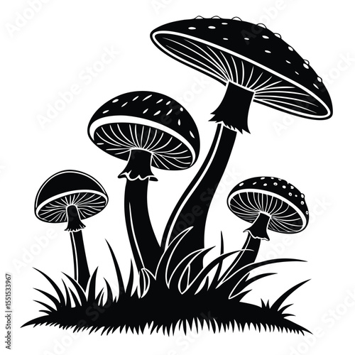 Mushroom Illustration in Black and White