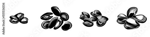 Modern illustration in sketch style featuring clams, mussels, and seafood isolated on a white background, showcasing edible underwater mussels as a healthy organic shellfish food and common seafood