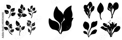 Isolated modern elements of spinach on a white background