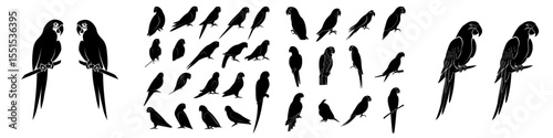 Contemporary parrot outlines from the amazon jungle set against a white backdrop