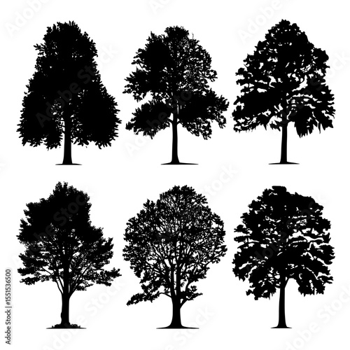 Contemporary set of realistic deciduous tree silhouettes, standing alone on a white background