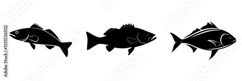 Modern illustration of seabass fish in silhouette on a white background