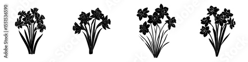 A contemporary black outline of a bouquet of narcissus flowers set against a white backdrop