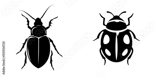 The Colorado beetle is depicted in a modern silhouette image set against a white background