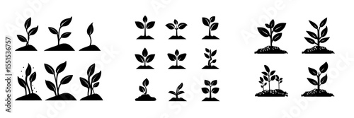 Collection of seedlings planted in the earth, represented as icons, set against a modern white backdrop illustration