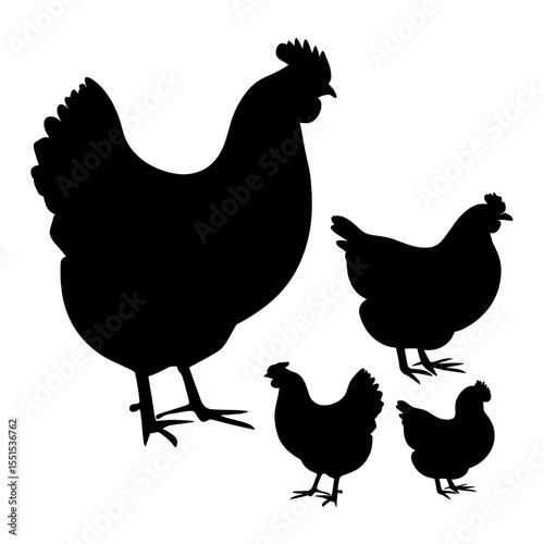 On a white background, a silhouette of a chicken is shown with five other chickens