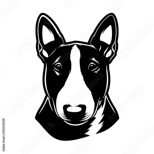 The Bull Terrier dog breed is depicted in isolation on a white background, providing a purebred canine head for design purposes