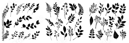Vintage botanical artwork showcases a substantial assortment of branches and leaves from fall, spring, and summer, set against a white background with a black design incorporating floral elements