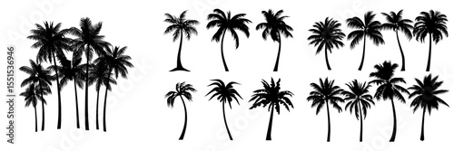 A set of black palm tree silhouettes and branches set against a white background, suitable as a design element for various applications including congratulation cards and banners