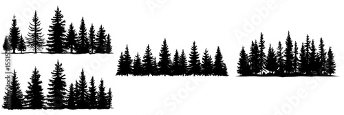 A modern seamless silhouette of a coniferous forest, featuring a panorama of an evergreen Christmas tree including spruce and fir, isolated on a white background