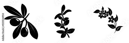 The Hippophae plant is depicted as a modern icon set against a white background, suitable for use as a background, texture, wrapper pattern, frame, or border