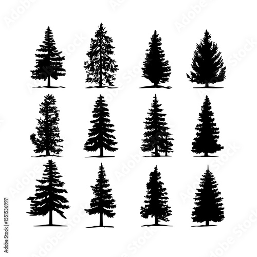 A modern seamless silhouette of a coniferous forest featuring an evergreen Christmas tree, specifically a spruce or fir, isolated on a white background