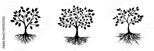 Illustration of a tree featuring green leaves and roots, set against a white background in a flat, modern style