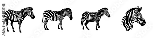Modern illustration of an African zebra set against a white background