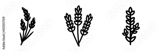 A modern, isolated icon of lavender is presented in simple black lines, derived from natural concepts and set against a white background with an editable stroke