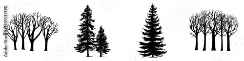 The silhouette of a modern tree is set against a backdrop of isolated forest trees on a white background