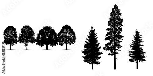 The modern tree silhouette is depicted in black, set against a white background with isolated forest trees